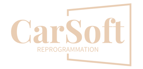car soft lyon reprogrammation moteur logo